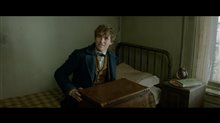 Fantastic Beasts and Where to Find Them Movie Clip - 