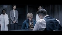 Fantastic Beasts and Where to Find Them Movie Clip - 