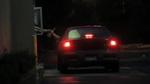 Fat Trailer Video