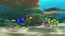 Finding Dory - Teaser  Trailer Video