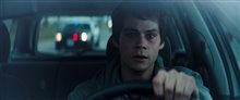 FLASHBACK Trailer Video