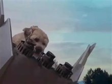GOOD BOY! Trailer Video