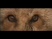 GREY OWL Trailer Video