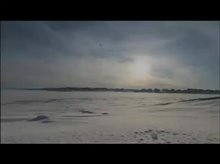 Hot Docs Screening: People of a Feather Trailer Video