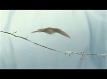 Ice Age: Dawn of the Dinosaurs 3D Trailer Video
