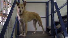 Isle of Dogs Featurette - 