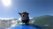 IT'S A DOG'S LIFE WITH BILL FARMER Trailer Video