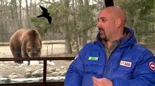 Jeff Young (Bears) Video
