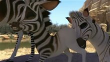Khumba Trailer Video