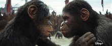 KINGDOM OF THE PLANET OF THE APES - Disney+ Trailer Video