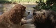 'Lady and the Tramp' Trailer #2 Video