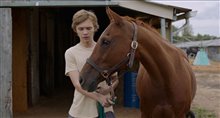 Lean on Pete - Trailer Video