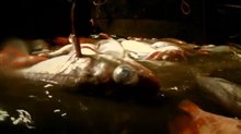 Leviathan Trailer Video
