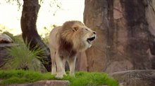 MAGIC OF DISNEY'S ANIMAL KINGDOM Trailer Video