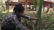 No Land No Food No Life Trailer Video