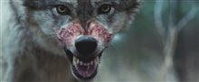 OUT COME THE WOLVES Trailer Video