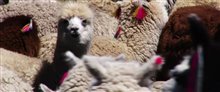 Passport to the World - Bolivia: From the Altiplano to the Amazon - Trailer Video