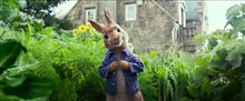 Peter Rabbit Trailer Video