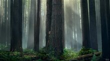 Pete's Dragon - Motion Poster Video
