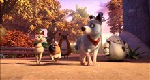 PETS UNITED Trailer Video