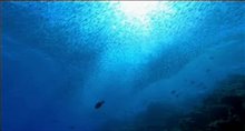SHARKWATER Trailer Video