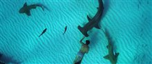'Sharkwater Extinction' Trailer #2 Video