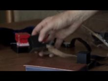 Standing Silent Trailer Video