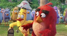 The Angry Birds Movie - Official Trailer 3 Video