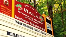 The Fight for Bala Trailer Video