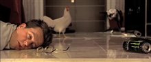 The Hangover Trailer Video