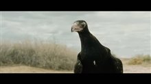 The Rover Trailer Video
