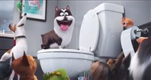 The Secret Life of Pets - Super Bowl TV Spot Video