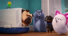 'The Secret Life of Pets 2' Trailer Video