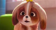 'The Secret Life of Pets 2' - The Daisy Trailer Video