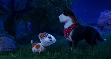 'The Secret Life of Pets 2' - The Rooster Trailer Video