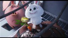 The Secret Life of Pets movie clip - 