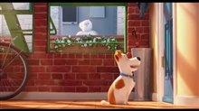 The Secret Life of Pets - Teaser Trailer Video