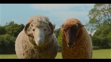 THE SHEEP DETECTIVES Clip - 