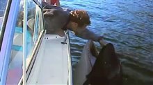 The Whale Trailer Video