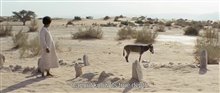 Theeb Trailer Video