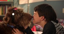THINK LIKE A DOG Trailer Video