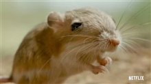 TINY CREATURES Trailer Video