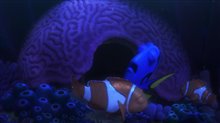 Trouver Doris Trailer Video