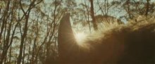 Where the Wild Things Are Trailer Video