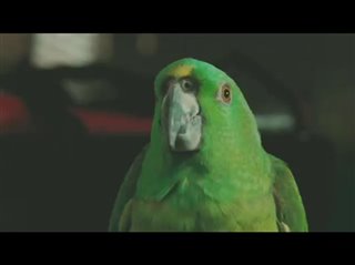 a-bird-of-the-air Video Thumbnail