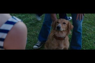 A Dog's Purpose Movie Clip - "Bailey Notices Smell" Video Thumbnail