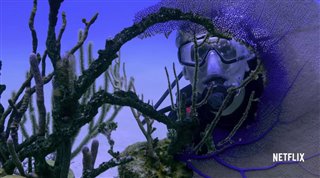 chasing-coral-trailer Video Thumbnail