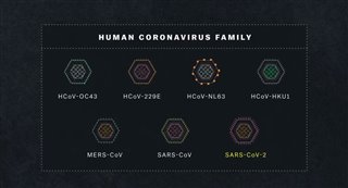 coronavirus-explained-trailer Video Thumbnail