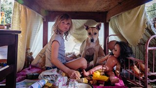 dont-lets-go-to-the-dogs-tonight-trailer Video Thumbnail