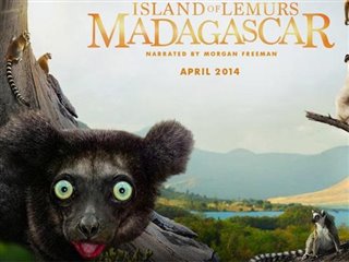 island-of-lemurs-madagascar-behind-the-scenes Video Thumbnail